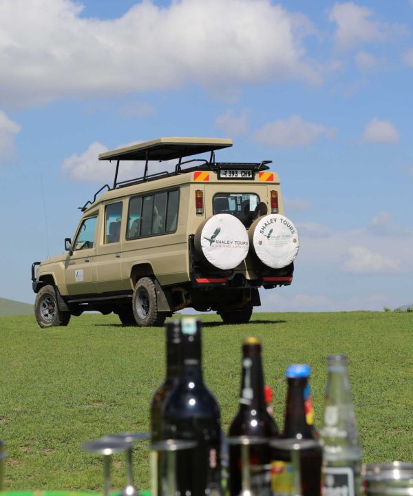 shalev-tours-and-safaris---serengeti-national-park