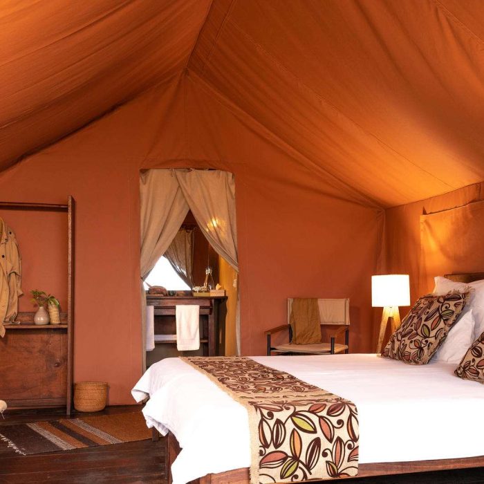 tents11-970x647-hd2