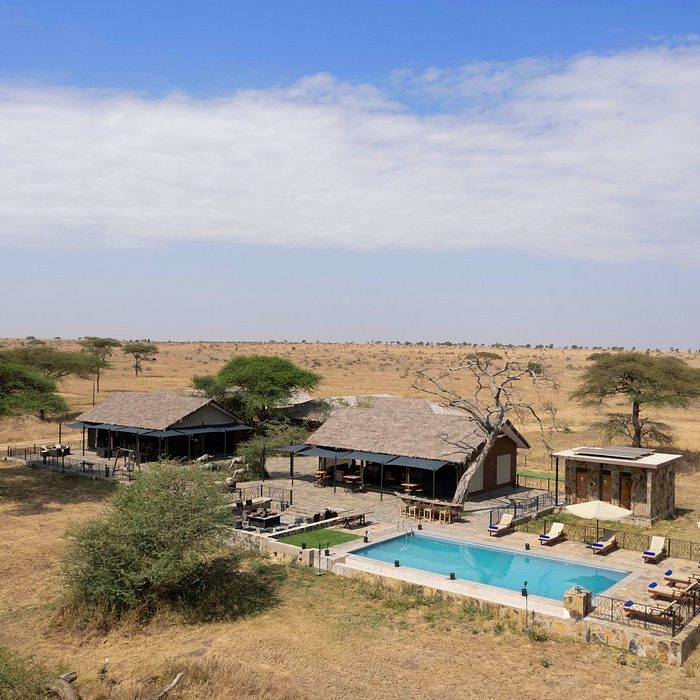 welcome-to-serengeti - Copy
